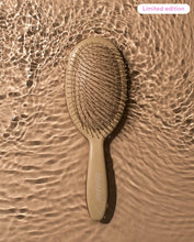 Framar Detangling Brush - Canvas
