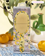 Framar Detangling Brush - Amalfi